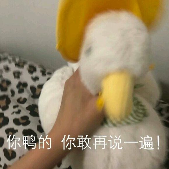 微信近期斗图恶搞表情包2019/8/15（二）