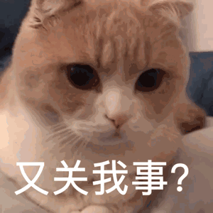 哄我恶搞群聊杂图微信表情包