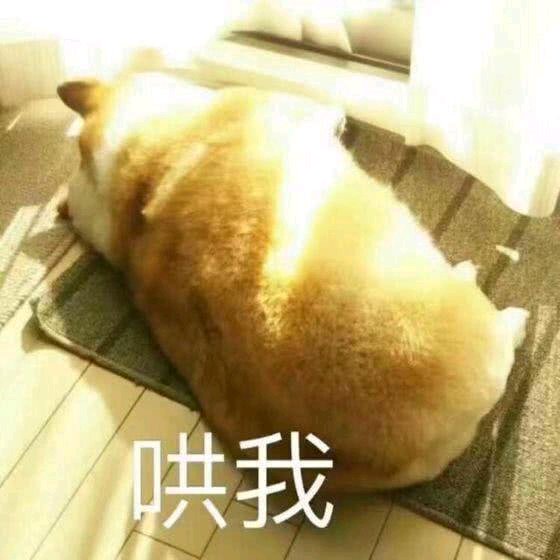 哄我恶搞群聊杂图微信表情包