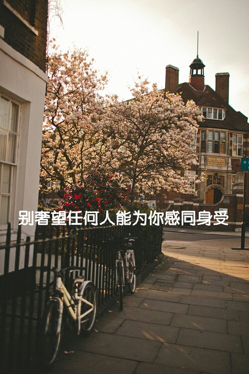 唯美意境的微信伤感带字图片合集下载