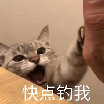 微信近期斗图恶搞表情包2019/8/17