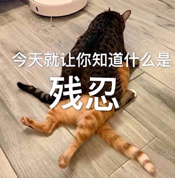 微信近期斗图恶搞表情包2019/8/18（二）
