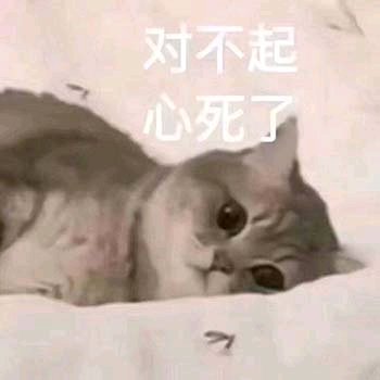 微信近期斗图恶搞表情包2019/8/18（二）