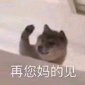 微信近期斗图恶搞表情包2019/8/18（二）