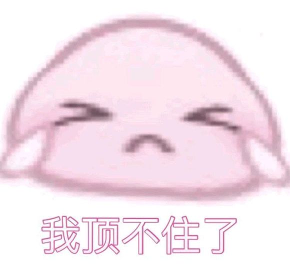 窥屏微信恶搞斗图群聊杂图表情包