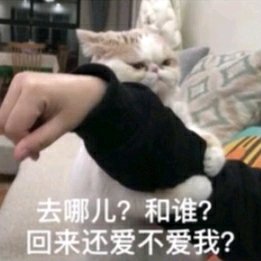 发情微信恶搞斗图表情包