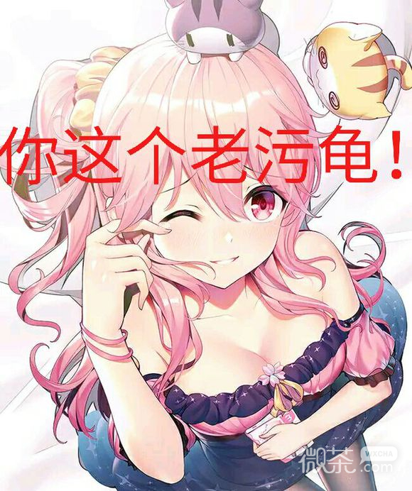 窥屏微信恶搞斗图群聊杂图表情包