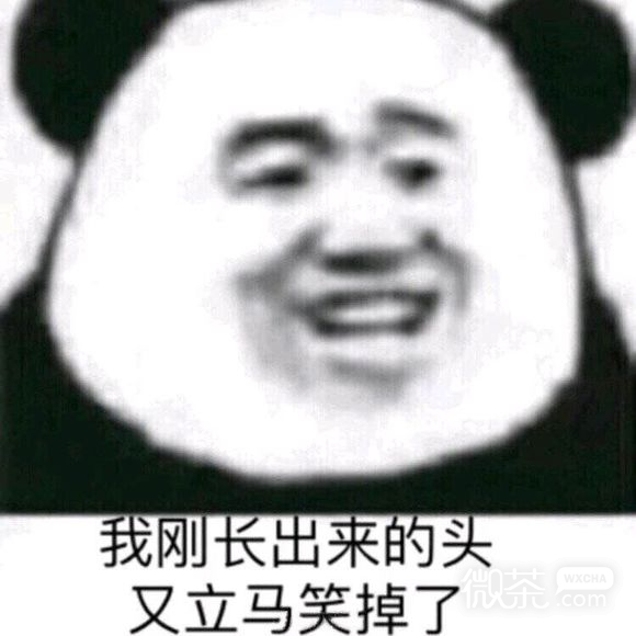 思考微信恶搞斗图表情包