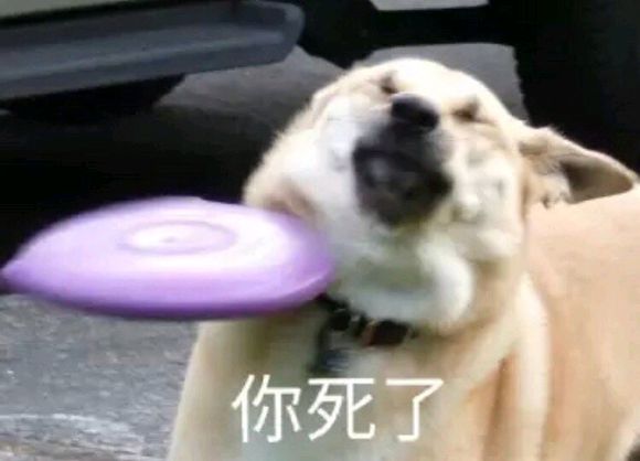 窥屏微信恶搞斗图群聊杂图表情包