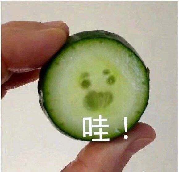 窥屏微信恶搞斗图群聊杂图表情包