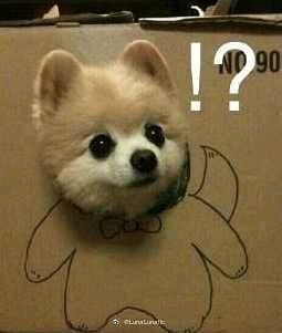 窥屏微信恶搞斗图群聊杂图表情包