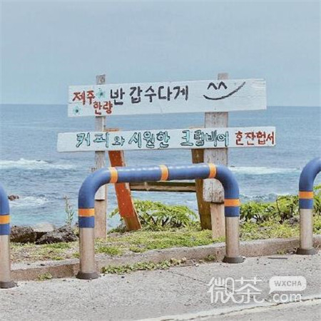 微信小清新风景静物朋友圈配图