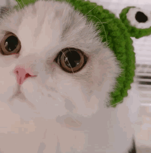 发情微信恶搞斗图表情包