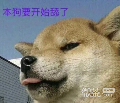 思考微信恶搞斗图表情包