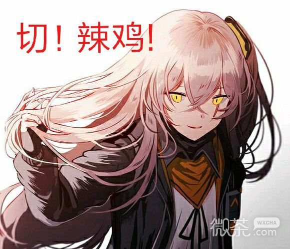 窥屏微信恶搞斗图群聊杂图表情包
