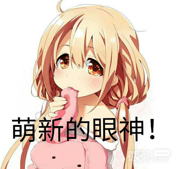 窥屏微信恶搞斗图群聊杂图表情包