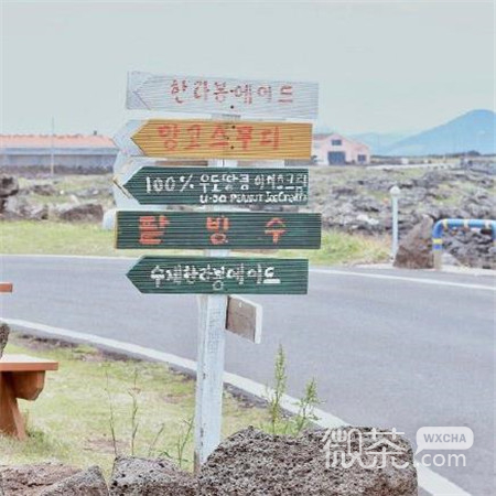 微信小清新风景静物朋友圈配图