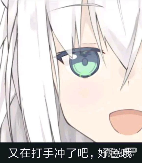窥屏微信恶搞斗图群聊杂图表情包