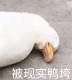 微信近期斗图恶搞表情包2019/8/19（二）