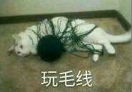 发情微信恶搞斗图表情包