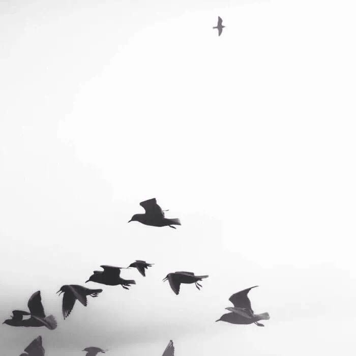 唯美小清新寂寞朋友圈配图