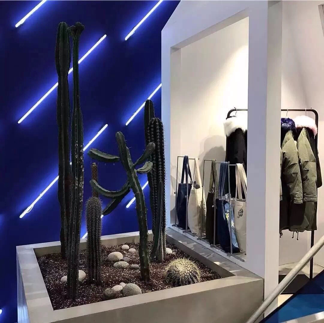 文艺简约朋友圈配图