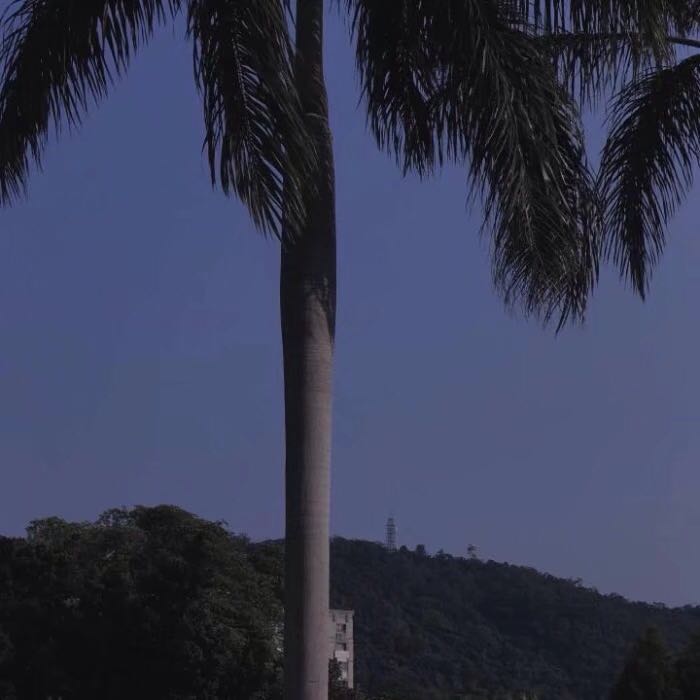 好看梦幻风景朋友圈配图