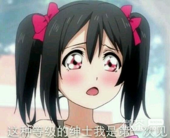 上哭你微信恶搞斗图表情包