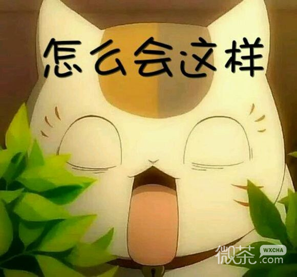 上哭你微信恶搞斗图表情包