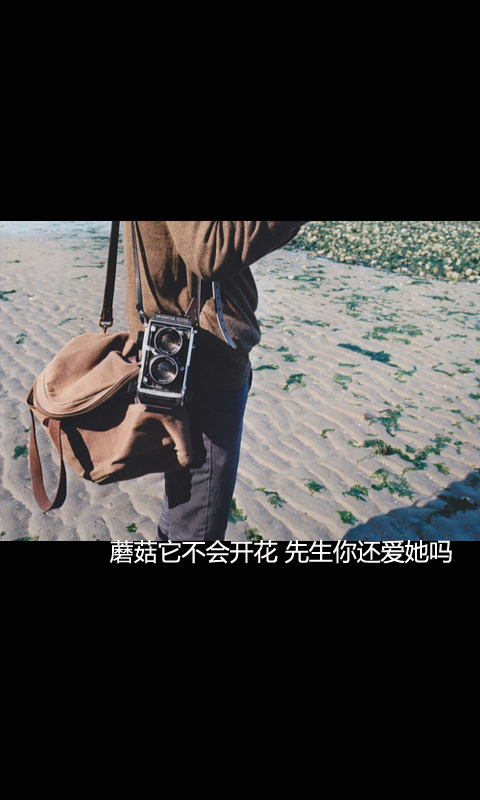 唯美伤感风格的微信壁纸图片下载