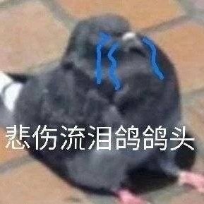 群聊专用的微信爆笑聊天表情包合集下载