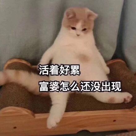 突然疯癫微信恶搞二次元表情包
