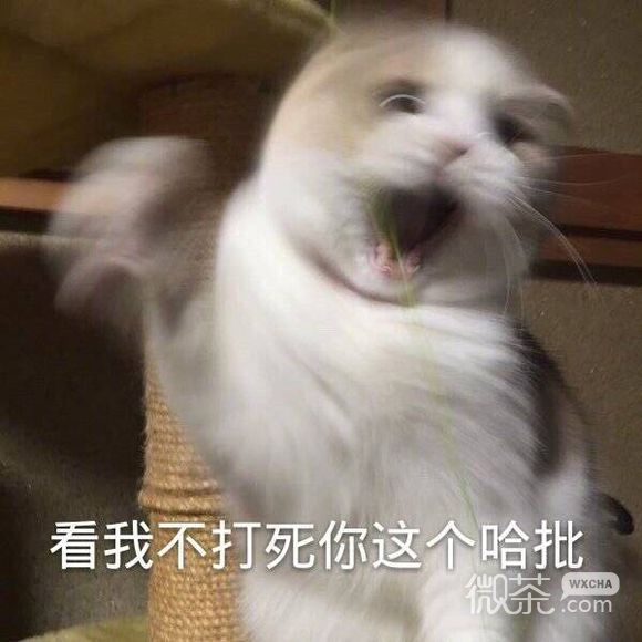 突然疯癫微信恶搞二次元表情包