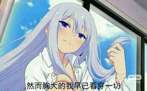 怪我咯微信恶搞斗图表情包