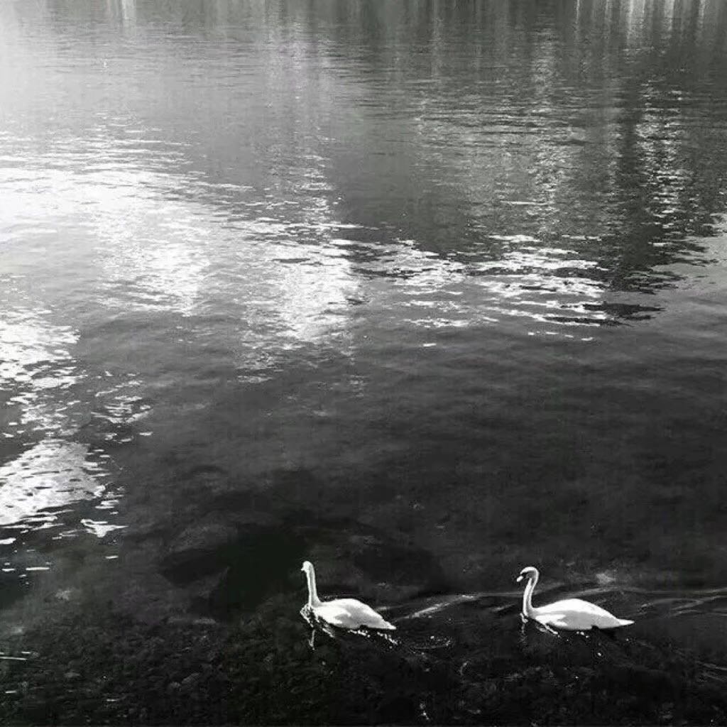 孤独微信朋友圈配图