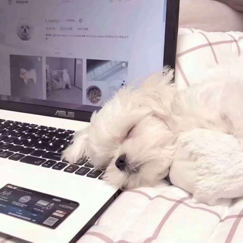 孤独微信朋友圈配图