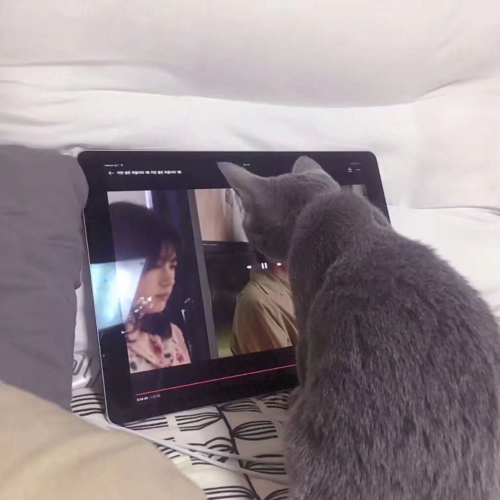 孤独微信朋友圈配图