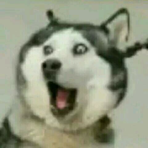 我没有笑微信恶搞斗图表情包