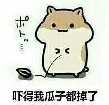 我没有笑微信恶搞斗图表情包