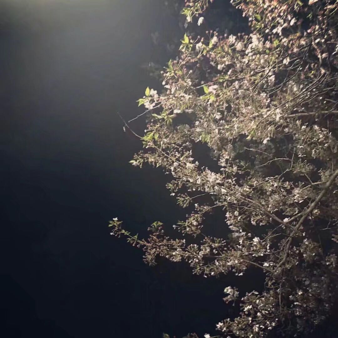 孤独微信朋友圈配图