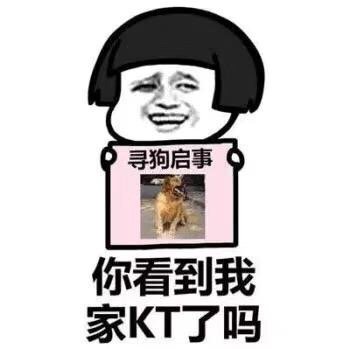 微信爆笑恶搞寻X启事系列微信蘑菇头表情包下载