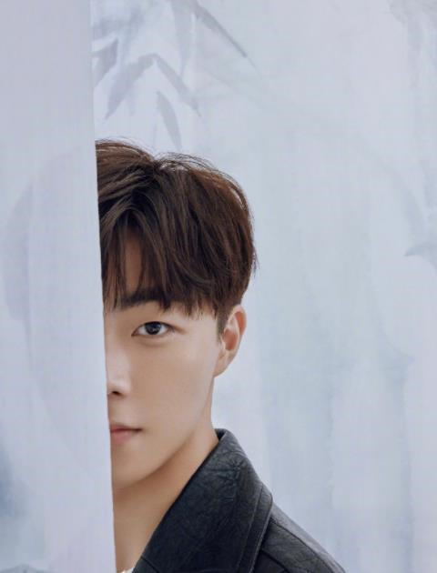 李现陈立农系列微信双生壁纸图片合集下载