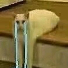 微信恶搞斗图吃惊表情包