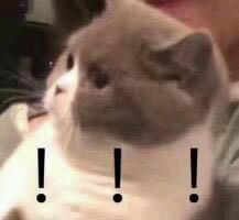 微信恶搞斗图吃惊表情包