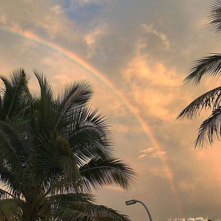 梦幻孤独个性朋友圈配图