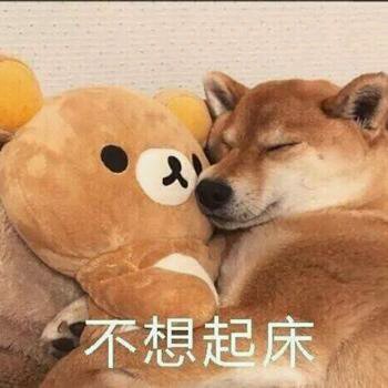 啵唧微信恶搞斗图表情包