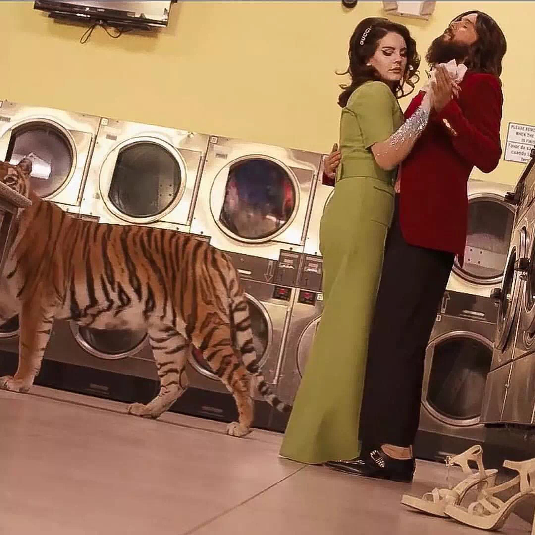 梦幻孤独个性朋友圈配图