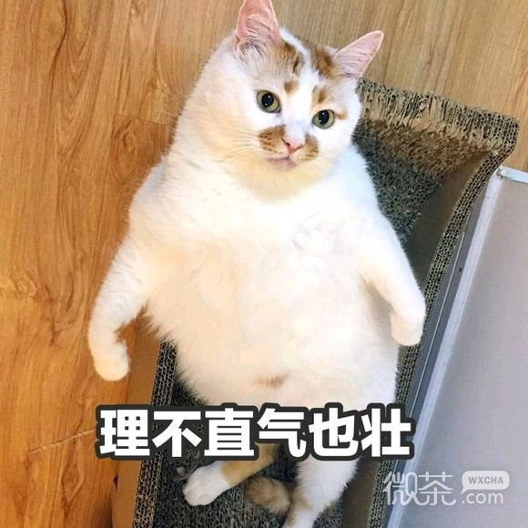 翻脸微信表情包