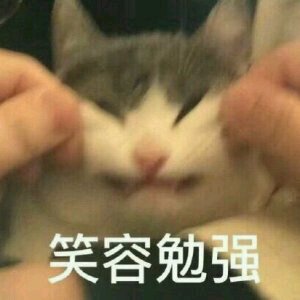 烦死了微信恶搞斗图表情包