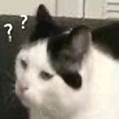 微信恶搞斗图吃惊表情包